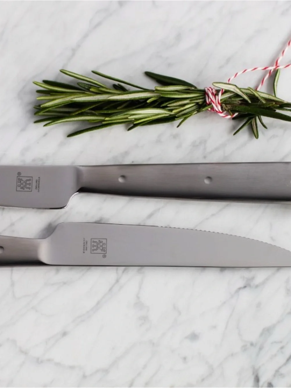 Williams Sonoma Matte Silver Serrated Steak Knives